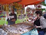 Slavnosti Perníkového hejtmanství 2008